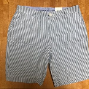 Blue and White Striped Bermuda Shorts